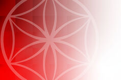Abstract flower artwork.